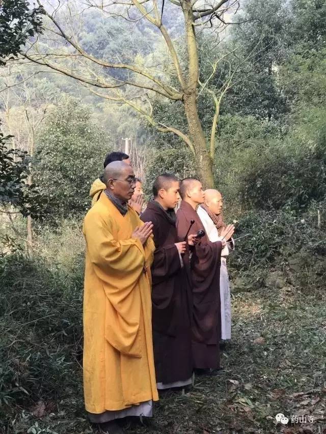 药山寺迎丁酉新春活动丰富多彩（图二十二）